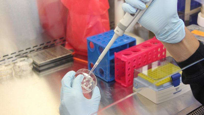 What Is Targeted Therapy? Biomarkers and Genetic Testing